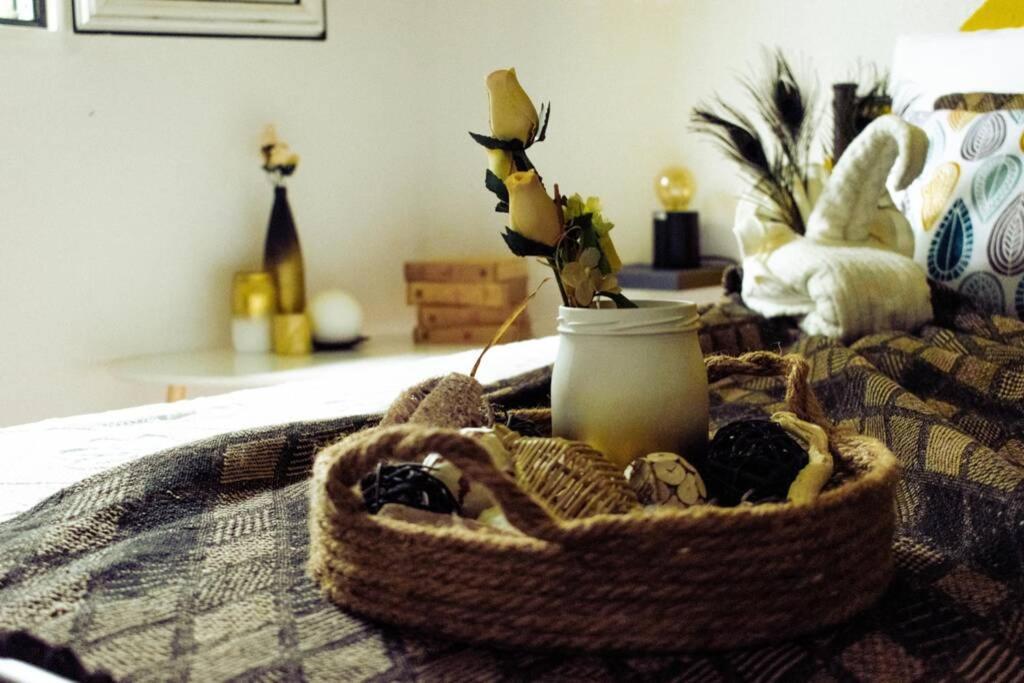 L'Ile Au Paon - Appartement T2 Avec Piscine Et Parking レザビーム エクステリア 写真